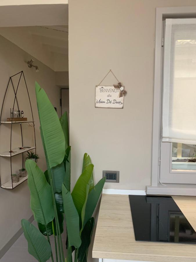 Maison Del Ducato “Cavour 24” Parma Zewnętrze zdjęcie